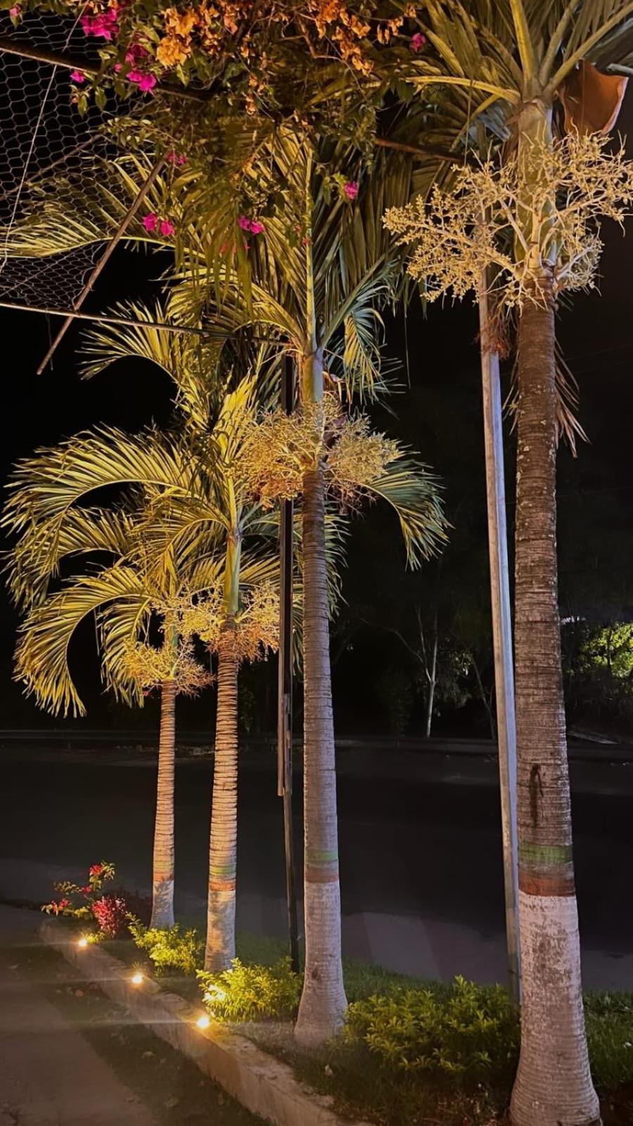 Villa Napoli Santa Ana Ngoại thất bức ảnh